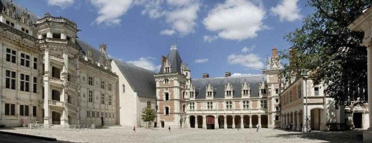 Superbe Appartement - L'Escapade Onzain Eksteriør billede